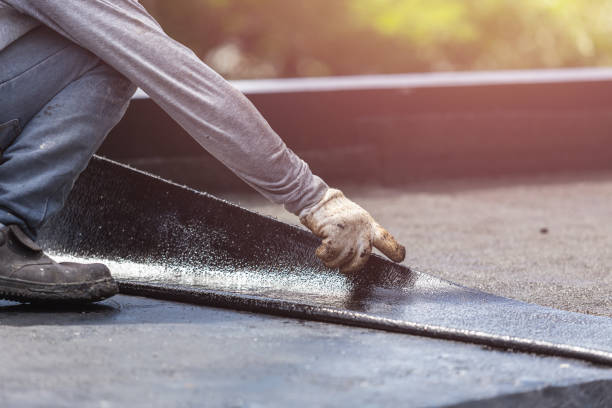 Professional Interior Drainage System technician working in Coats, NC